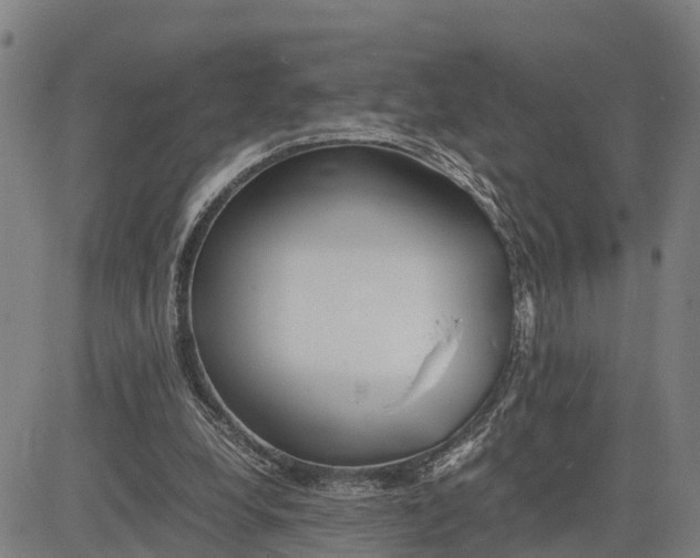 X0000081430248200702021659