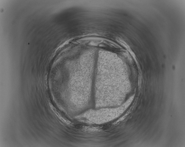 X0000081430249200702021659