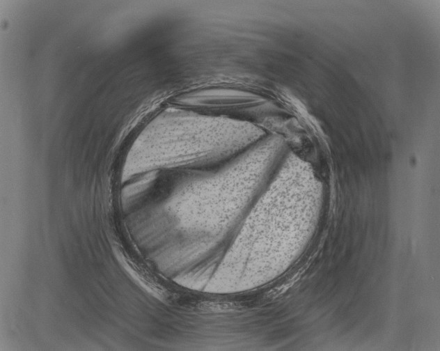 X0000081430250200702021659