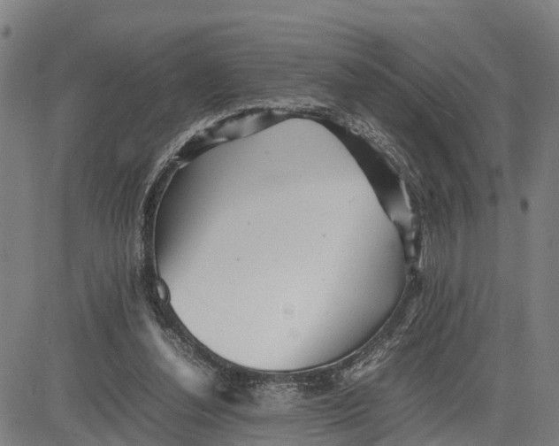 X0000081430252200702021659