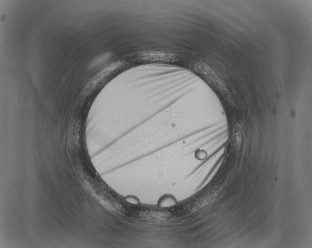 X0000081430255200702021659