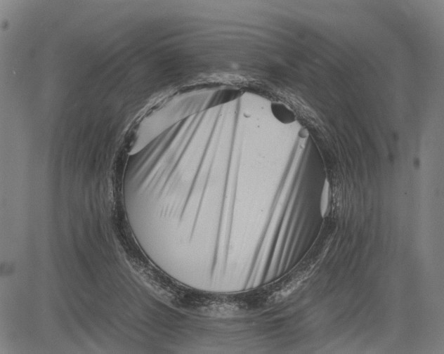 X0000081430256200702021659