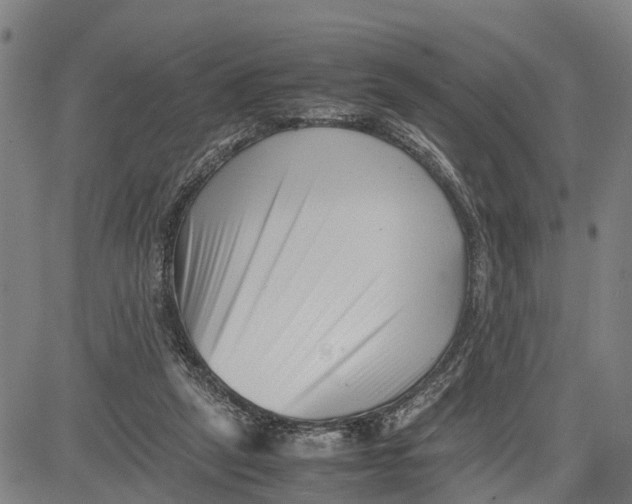 X0000081430257200702021659