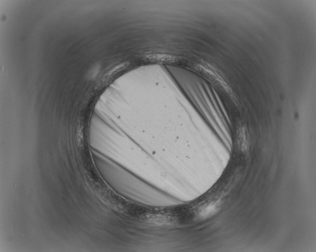 X0000081430259200702021659