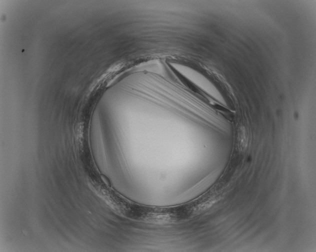 X0000081430260200702021700