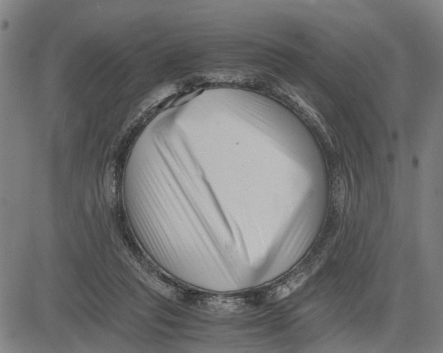 X0000081430261200702021700