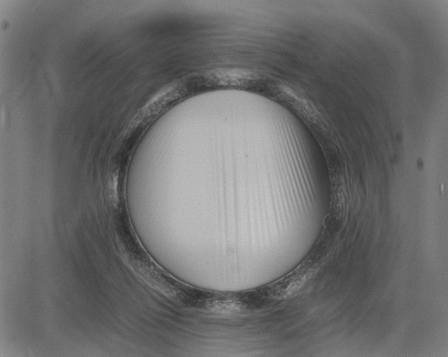 X0000081430262200702021700