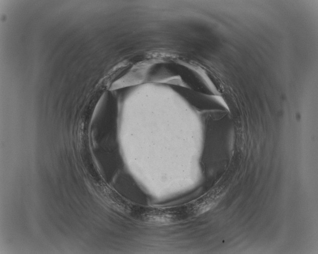 X0000081430263200702021700