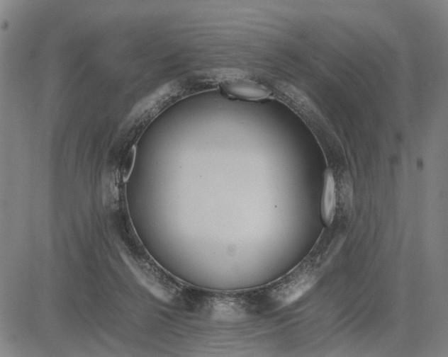 X0000081430264200702021700