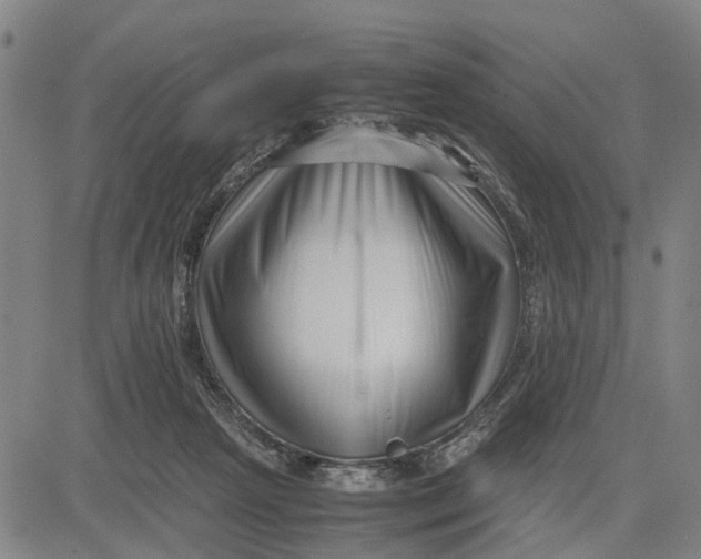 X0000081430265200702021700