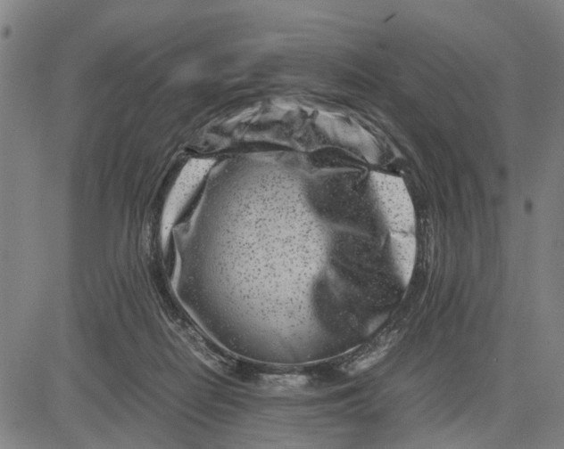 X0000081430266200702021700