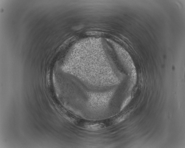 X0000081430267200702021700