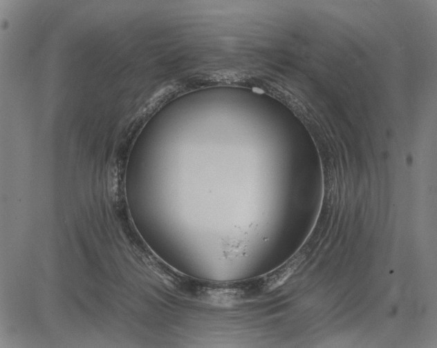 X0000081430268200702021700