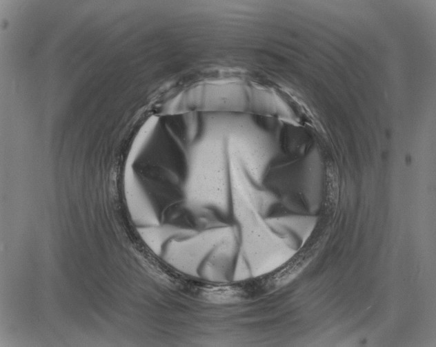 X0000081430269200702021700