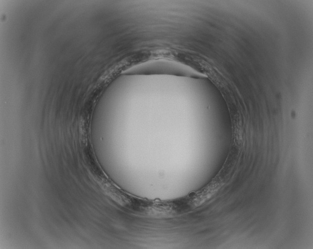 X0000081430270200702021700