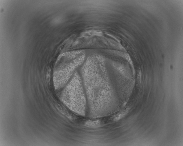 X0000081430271200702021700