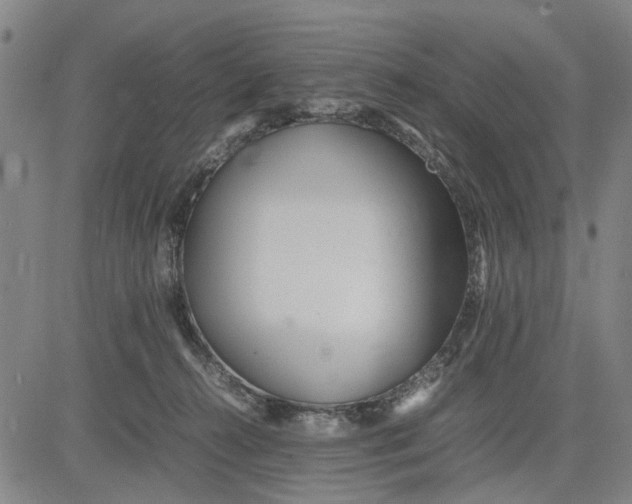 X0000081430272200702021700