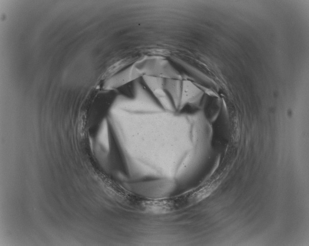 X0000081430273200702021700