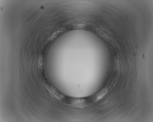 X0000081430274200702021700