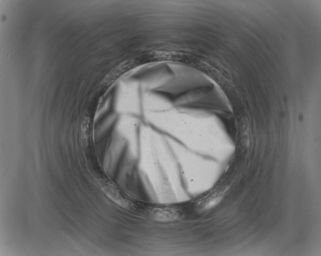 X0000081430275200702021700