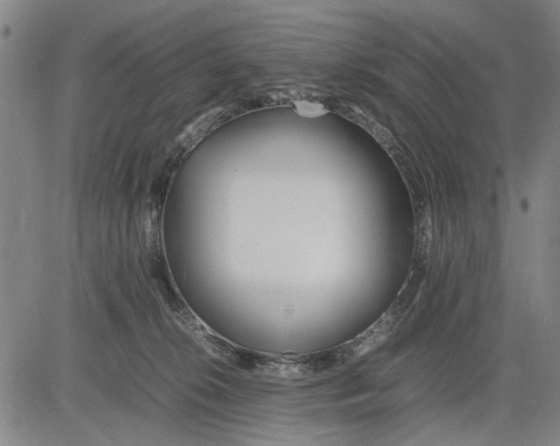 X0000081430276200702021700