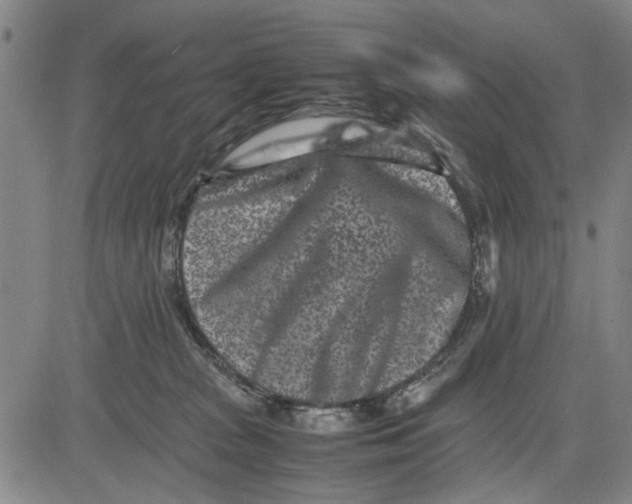 X0000081430277200702021700