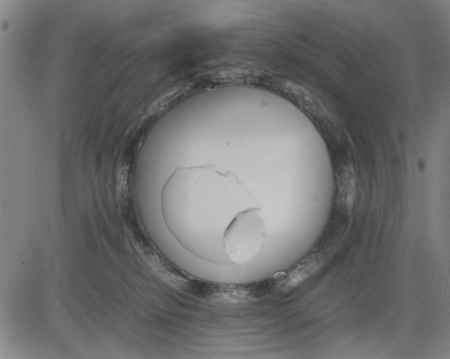 X0000081430278200702021700