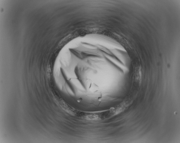 X0000081430279200702021700