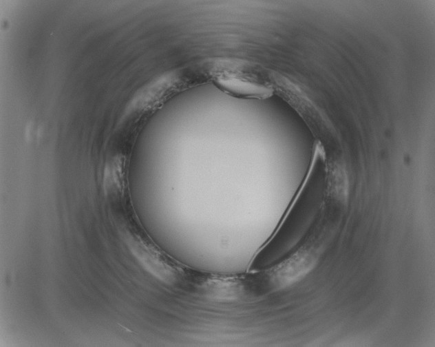 X0000081430280200702021700