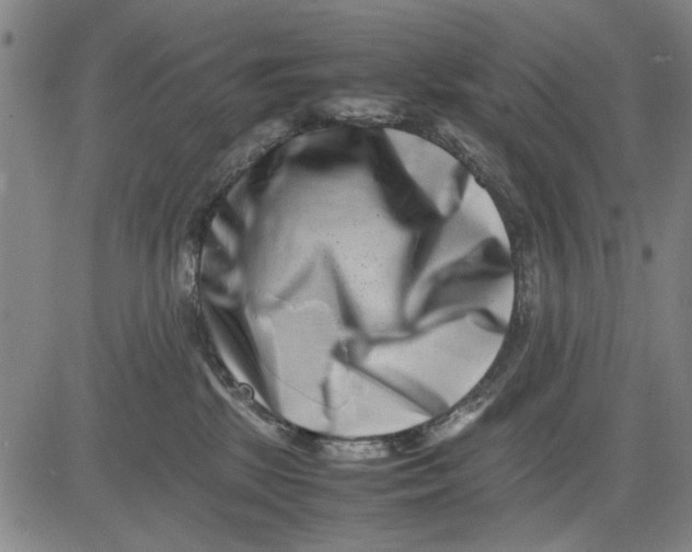 X0000081430281200702021700