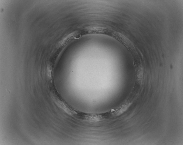 X0000081430282200702021700