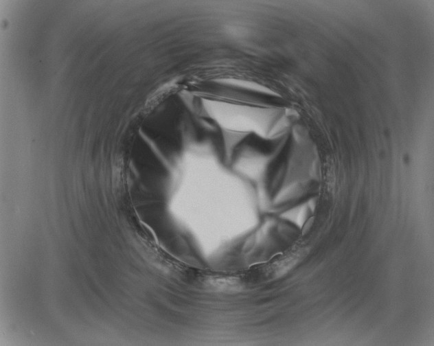 X0000081430283200702021700