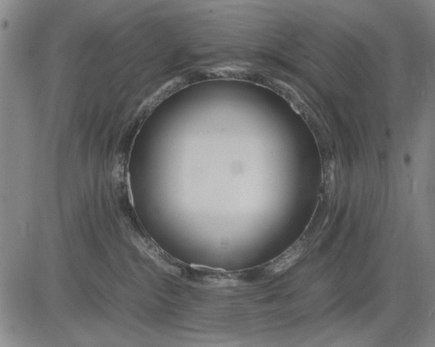 X0000081430284200702021700