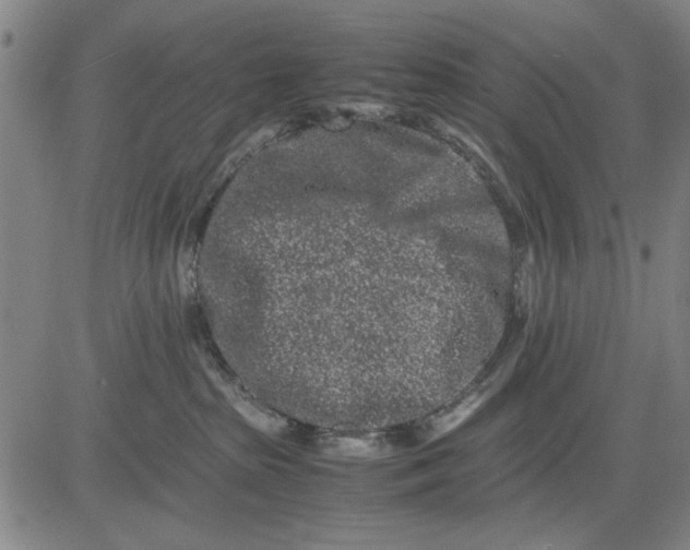 X0000081430285200702021700