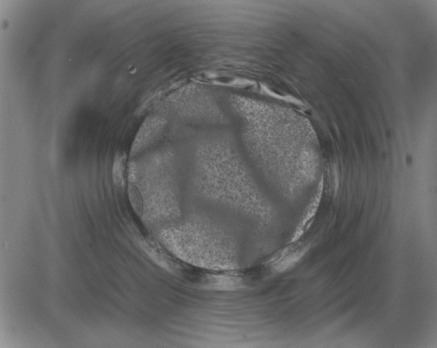 X0000081430286200702021700