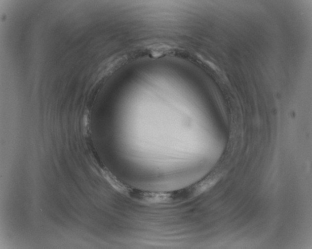 X0000081430288200702021700