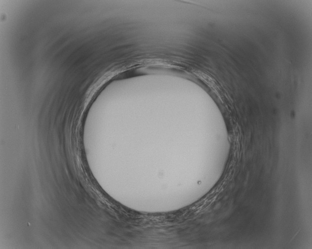 X0000081430289200702021659