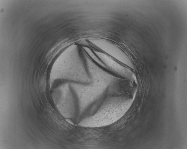 X0000081430290200702021659