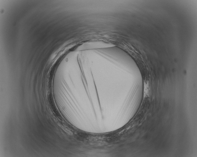 X0000081430291200702021659