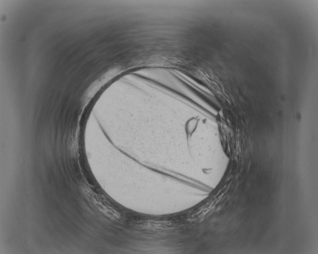 X0000081430292200702021659