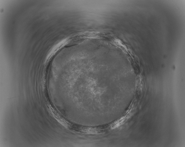 X0000081430293200702021659