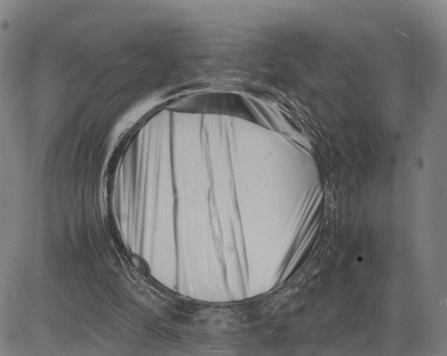 X0000081430294200702021659