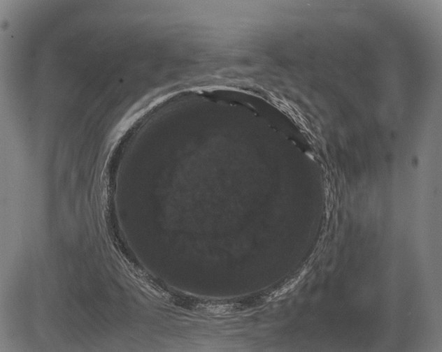 X0000081430295200702021659