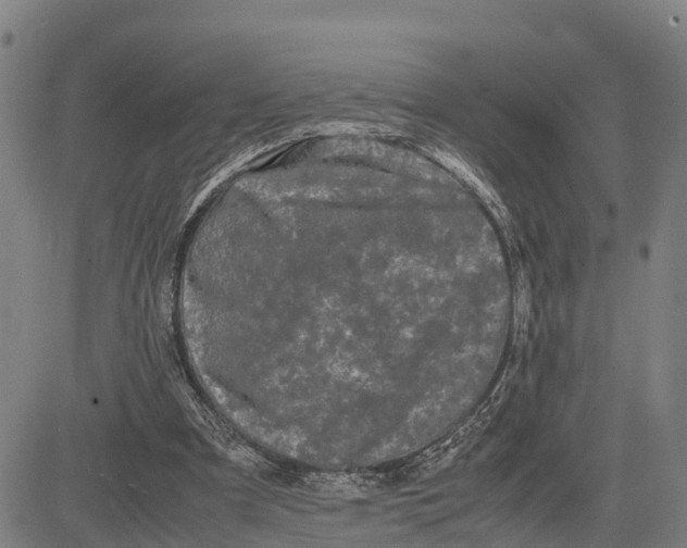 X0000081430297200702021659