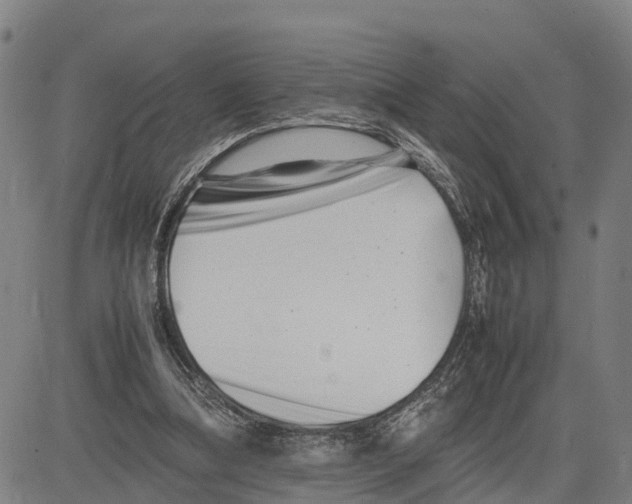 X0000081430298200702021659