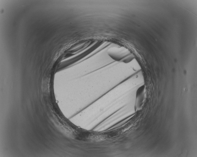 X0000081430299200702021659