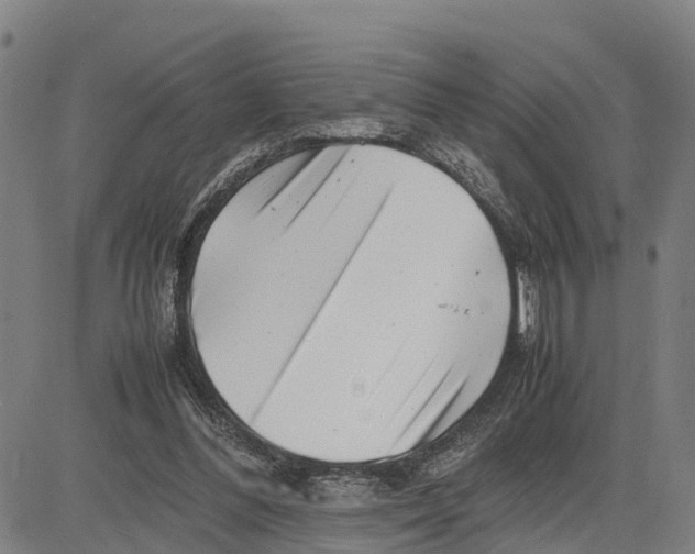 X0000081430300200702021659