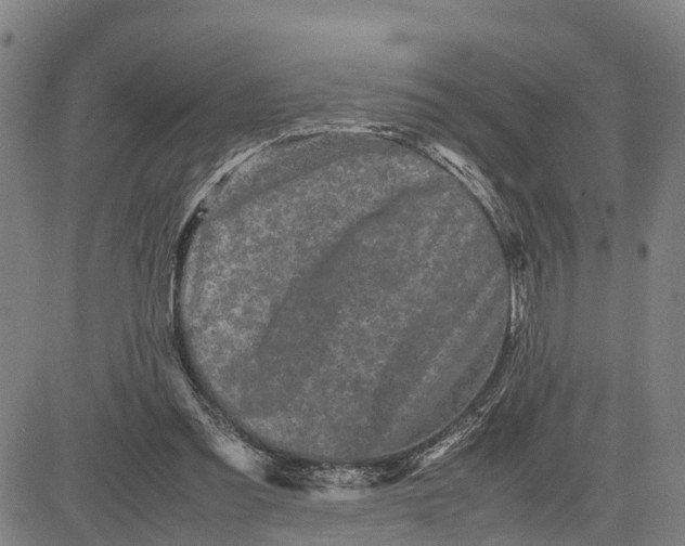 X0000081430301200702021659