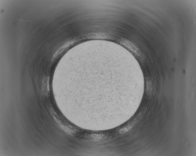 X0000081430302200702021659