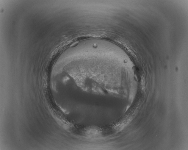 X0000081430303200702021659